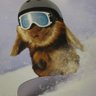 Andy's profile picture