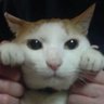 あ〜ちゃん 的头像