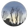 ããªãð¢ðªµðŠ's profile picture
