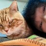 中前 行宏【Yukihiro Nakamae】's profile picture