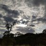 Фото профиля にゃーご