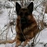 Бамбарбия Киргуду's profile picture