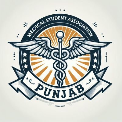 MSA Punjab's profile picture