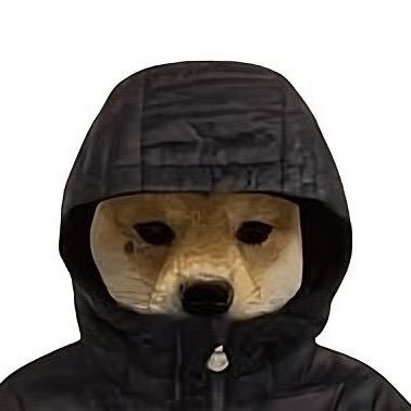 FIWonSolana's profile picture