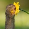 Profilbild von yodadambis