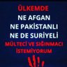 Ersen Er's profile picture