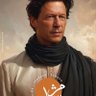 Rk Rizwan Brahvi 的头像
