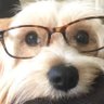Mystic Meg's profile picture