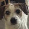 Profilbild von Ecks
