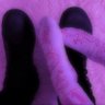 Daniela's profile picture