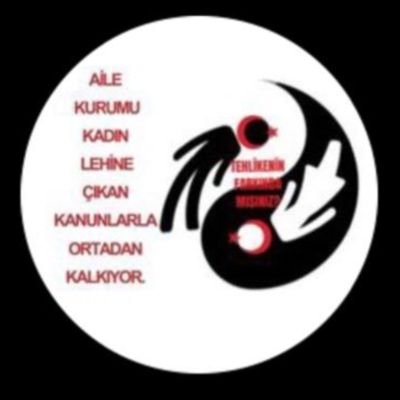 ATEŞŞ's profile picture
