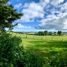 Фото профиля CzechIreland