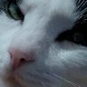 Profilbild von AgapitoXd24