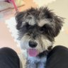 otsuya's profile picture