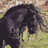 mmaali profil fotoğrafı