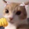 Mar's profile picture