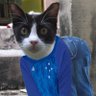 corduroy profil fotoğrafı