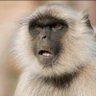 jokobheti's profile picture