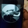 Public Girls profil fotoğrafı