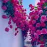 Фото профиля فاطمه ق