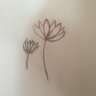 Ethan's profile picture