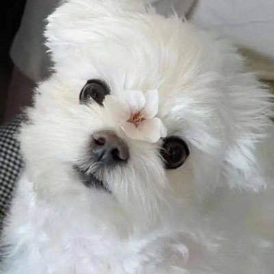 CreamBeom313's profile picture