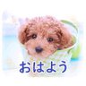 Фото профиля わん