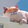まき profil fotoğrafı