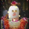 Фото профиля Jagdish Joshi