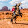 Фото профиля Cowboy