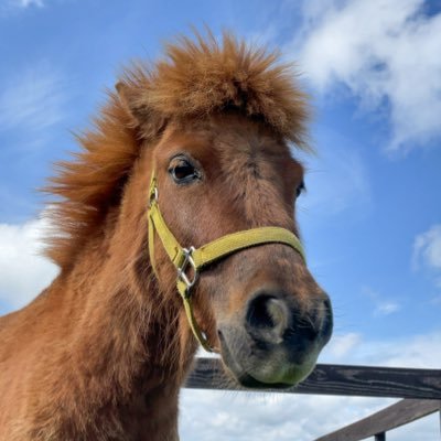 akki1060's profile picture