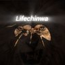 Profilbild von Lifechinwa