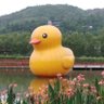 宁可自信,也不要盲目悲观's profile picture