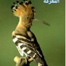 أبو أنس's profile picture