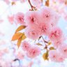 Фото профиля jim chang