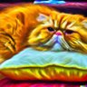 hatethemodern's profile picture