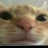 Gustaw's profile picture