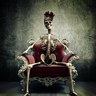 Фото профиля mauro moreira
