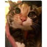 YURR profil fotoğrafı