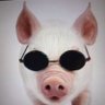 blindpig/1966 profil fotoğrafı