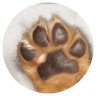 comomo profil fotoğrafı