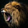 Profilbild von Crazyhorse
