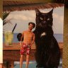 Profilbild von Beavis