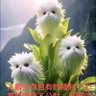 專業煎包子3 profil fotoğrafı