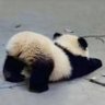まちなか 的头像