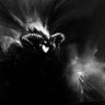 Фото профиля XLNC