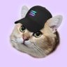 CatSolHat $SOLCAT profil fotoğrafı