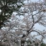 よう's profile picture