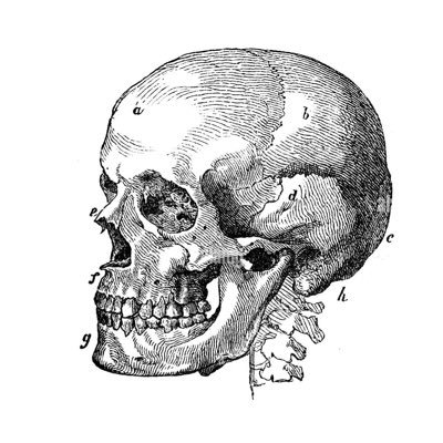 brutal_videos1's profile picture