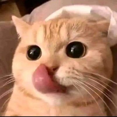 pasukan coli🤣🤣🤣's profile picture